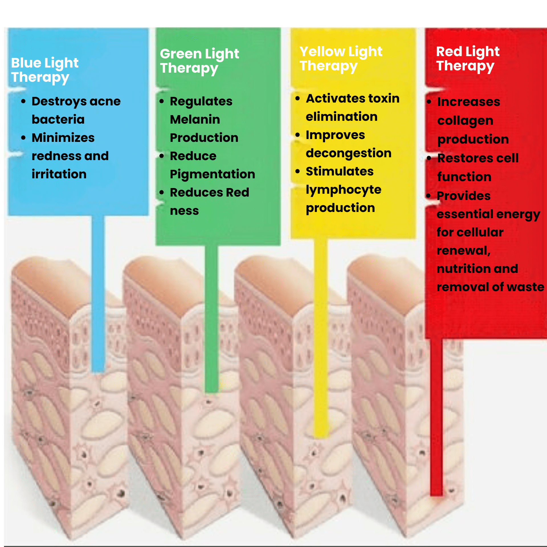 Different LED Light Therapies